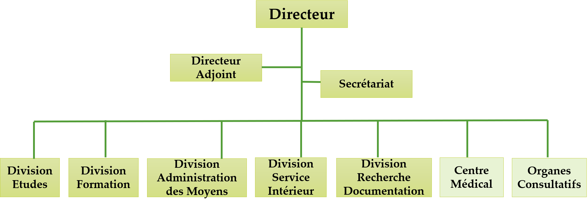 Organigramme de l’École Nationale de la Protection Civile du Niger